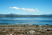 High Desert Research Farm 011 thumbnail