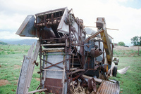 Landscapes and ostrich farm 021 thumbnail