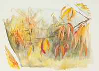 11 Floradora East of Fowler Ave. thumbnail