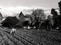 Orchard and valley 012 thumbnail