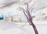 Downtown Fresno Blossom thumbnail