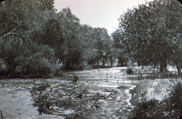 San Francisquito Water Test (above picnic grounds) thumbnail