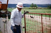Kaber farm, Plowed fields and crops 008 thumbnail