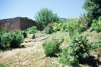 Landscapes and ostrich farm 027 thumbnail