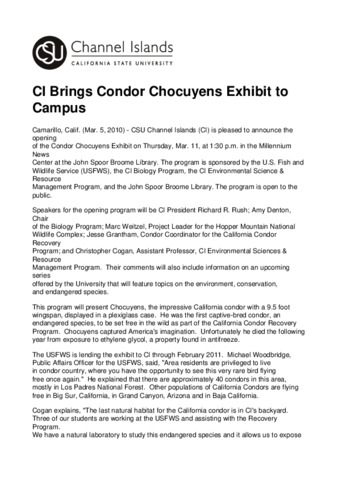 CI Brings Condor Chocuyens Exhibit to Campus thumbnail