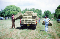 Montoya farm, Hay baling 009 thumbnail