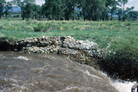 River and hay baling 013 thumbnail
