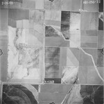 1950 ABI-25G-12 [Fresno County, California aerial survey, 1950] thumbnail