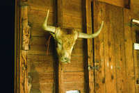Coleman ranches 023 thumbnail