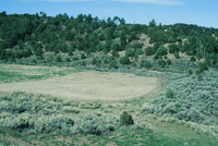 Farming in San Luis Valley 020 thumbnail