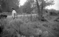 Gallegos farm, Building fences 005 thumbnail