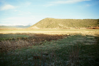 Landscapes and cattle 026 thumbnail