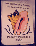 No collecting conch sign from the Greenpeace book of coral reefs thumbnail