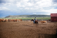 Colorado rural life 034 thumbnail