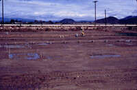 Pt. Mugu Wetlands thumbnail