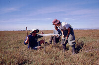 Pt. Mugu Wetlands thumbnail