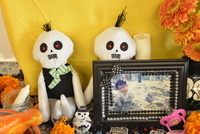 2017 Day of the Dead thumbnail