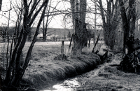 Gallegos farm, El Cerro Ditch 005 thumbnail