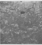 1970 2866-26-61 [Fresno County, California aerial survey, 1970] thumbnail