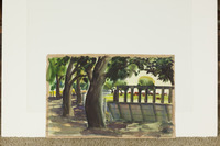 Cattle Ranch With Shade Trees thumbnail