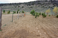Farming in San Luis Valley 030 thumbnail