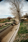 Gallegos farm, Building house fence 012 thumbnail