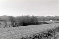Irrigation ditch 001 thumbnail