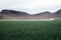Torres ranch, Landscapes 002 thumbnail