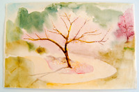 40 Shinzen Garden thumbnail