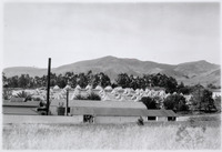 A Tent City Erected on Campus for the Junior Farm Center Annual Convention in the Mid-1930s [copy negative] thumbnail