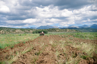 Kaber farm, Plowing 012 thumbnail