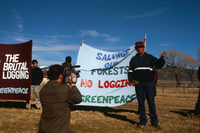 Logging protests 057 thumbnail
