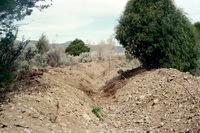Maistas farm, Ditch and cattle 038 thumbnail