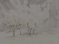 Bleeding White Blossoms thumbnail