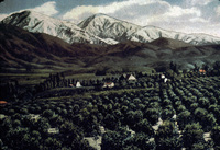 Near Upland, CA thumbnail