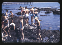 [Students examining marine life] thumbnail