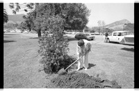 Mrs. Andrews tree dedication thumbnail