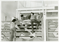 [Cowboys Climbing Stall] thumbnail