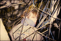 [Student inside the Rose Float skeleton] thumbnail
