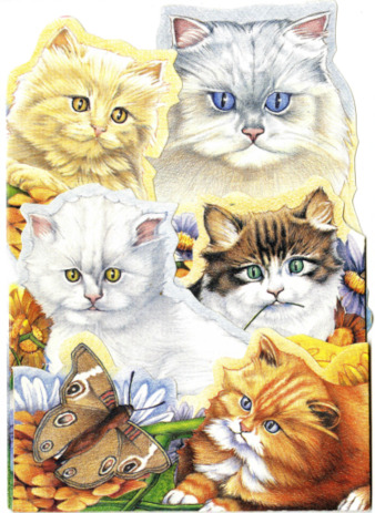 Birthday Card to Michele Serros thumbnail