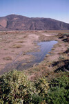 Pt. Mugu Wetlands thumbnail