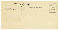 file details
