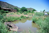 Landscapes and ostrich farm 020 thumbnail