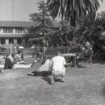 Students gather on the lawn thumbnail