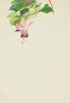 Hanging Flower Unfinished thumbnail