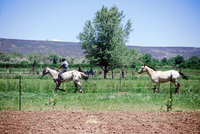Montoya farm, Hay baling 002 thumbnail