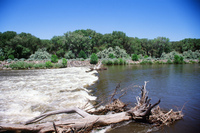 Montoya farm, Woodpile and the Rio Grande 011 thumbnail