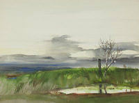 Lone Tree And Puddle thumbnail