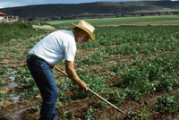 Conference and San Luis farm irrigation 031 thumbnail