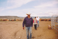 Gallegos farm, Horses and Cattle 010 thumbnail